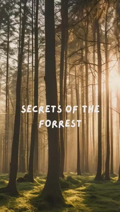 Secrets of the Forest