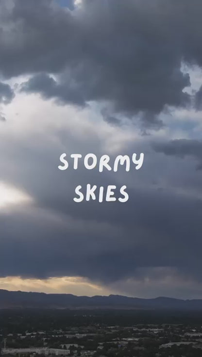 Stormy Skies