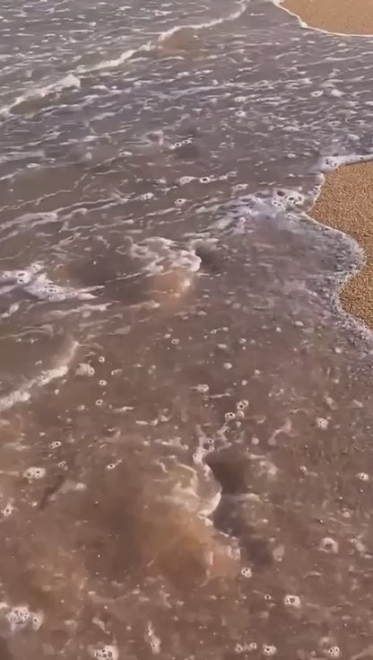 The Tide