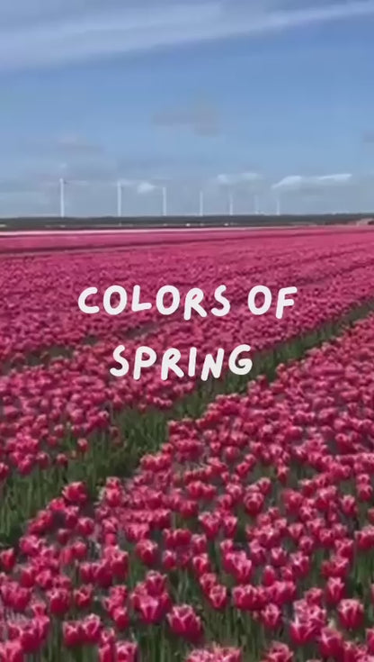 Colors of Spring