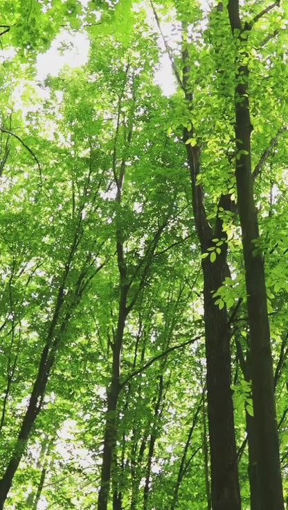 Flourishing Greens